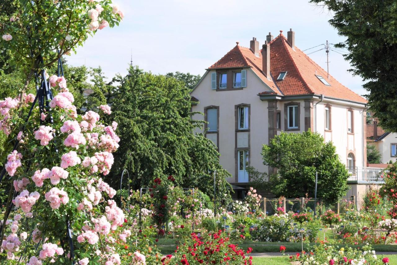 Le Jardin Des Roses Lägenhet Saverne Exteriör bild