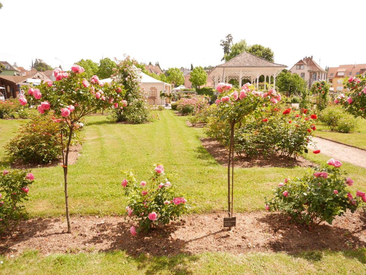 Le Jardin Des Roses Lägenhet Saverne Exteriör bild