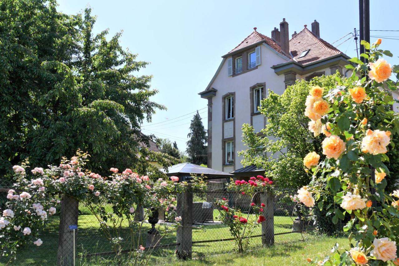 Le Jardin Des Roses Lägenhet Saverne Exteriör bild