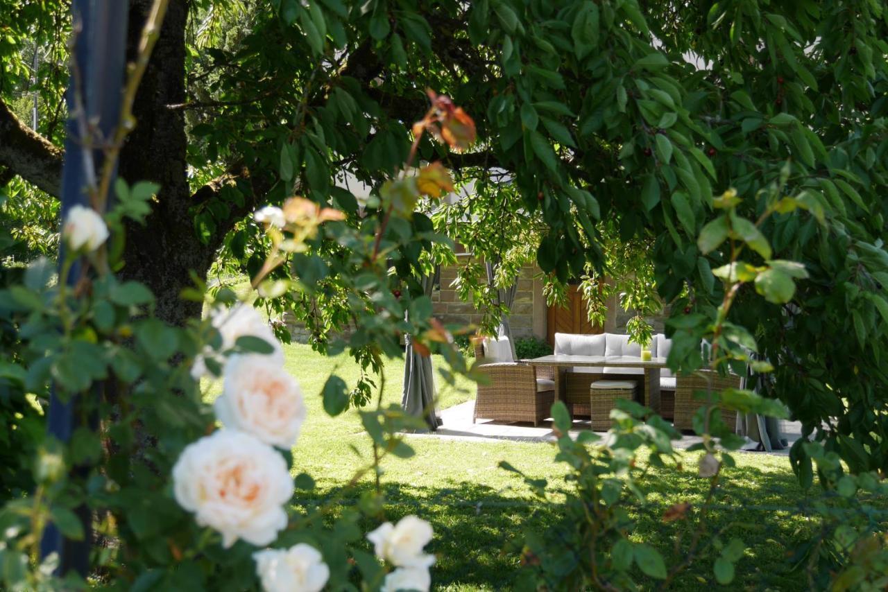 Le Jardin Des Roses Lägenhet Saverne Exteriör bild