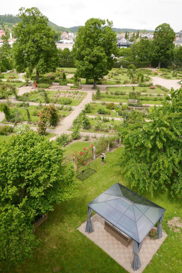 Le Jardin Des Roses Lägenhet Saverne Exteriör bild