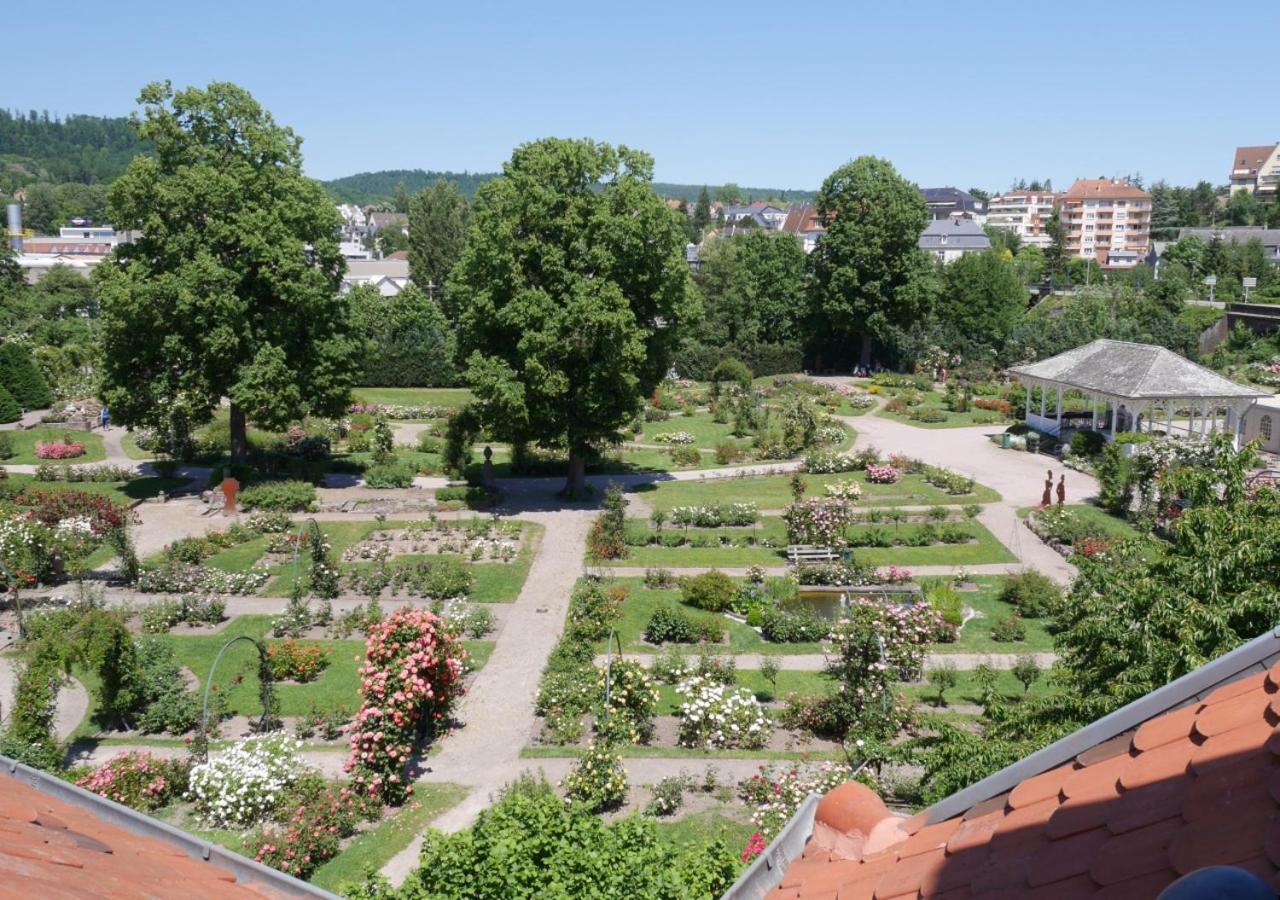 Le Jardin Des Roses Lägenhet Saverne Exteriör bild