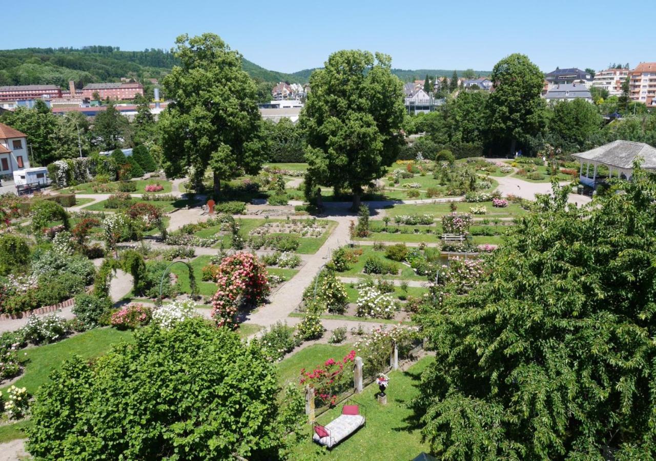Le Jardin Des Roses Lägenhet Saverne Exteriör bild